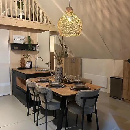 Big 6 Persons Semesteranläggning (resort) Voorthuizen