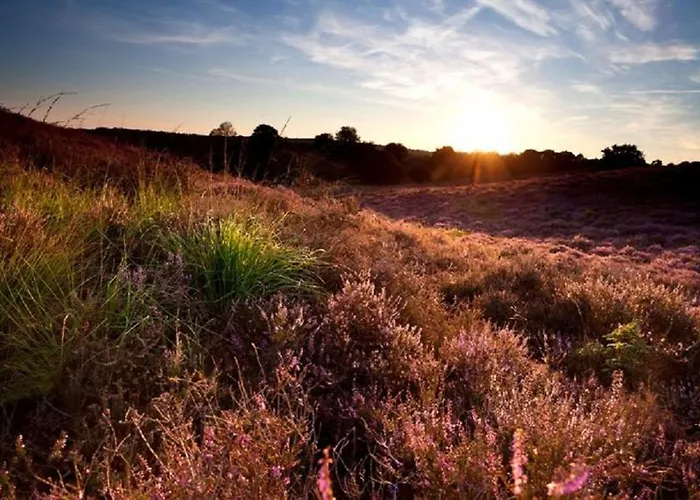 Ośrodek wypoczynkowy Big 6 Persons *