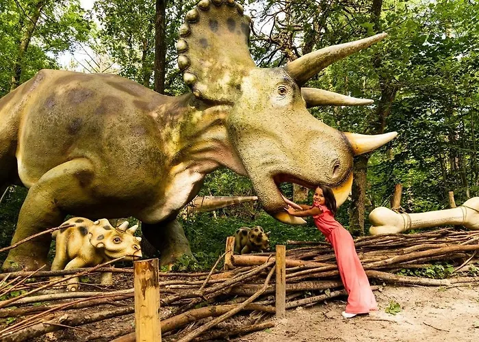 Big 6 Persons Ośrodek wypoczynkowy Voorthuizen