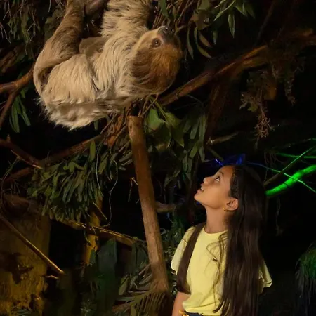 Big 6 Persons * 부투이젠