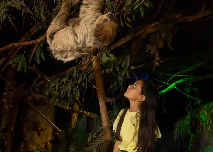 Big 6 Persons * فورتهاوزن